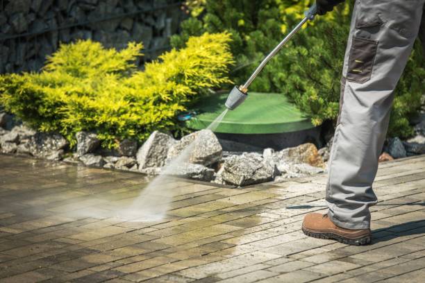 Best Solar Panel Cleaning  in Harriman, NY