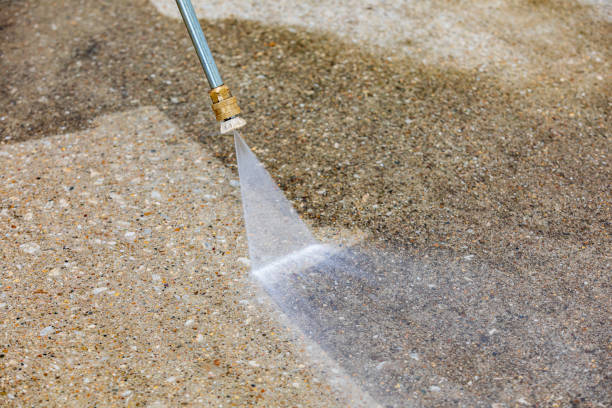 Best Pre-Holiday Cleaning  in Harriman, NY